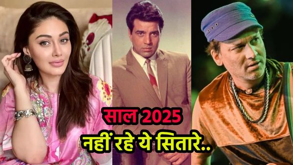 साल 2025 में इन बॉलीवुड सितारों ने दुनिया को कहा अलविदा, कुछ ने तो बेहद कम उम्र में ली अंतिम सांस