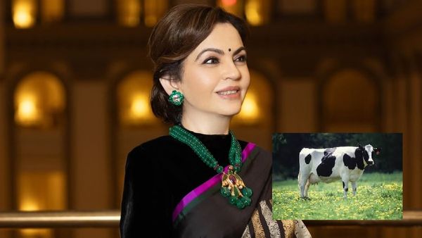 नीता अंबानी पीती हैं इतना महंगा दूध, RO का पानी पीती है गाय? कीमत जानकर लगेगा जोर का झटका