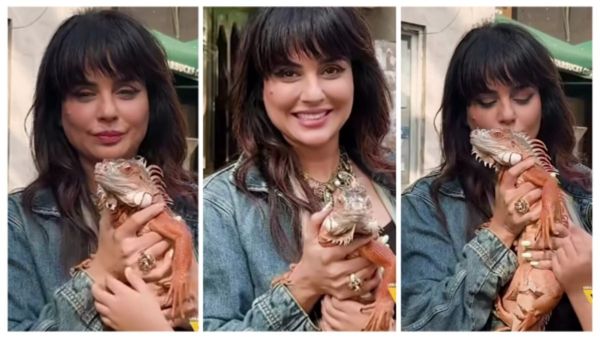 Sara Arfeen Khan ने गोद में उठाया विशाल इगुआना, फिर किया Kiss… वायरल वीडियो ने उड़ाए होश!