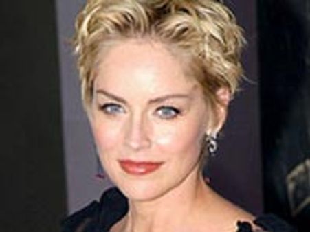 Sharon Stone caught in air rage?