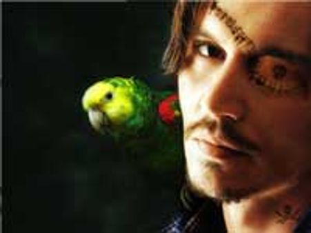 Pirates of the Caribbean attacks cop