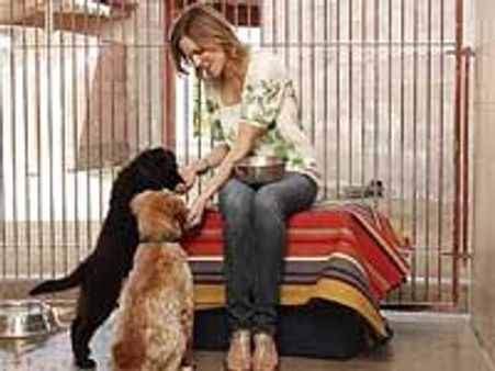 Hillary Swank has no plan for second marriage