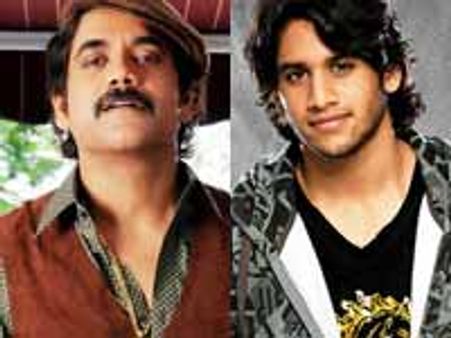 Nagarjuna vs Naga Chaitanya