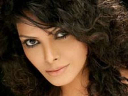 Sherlyn attracts Shahrukh Khan !