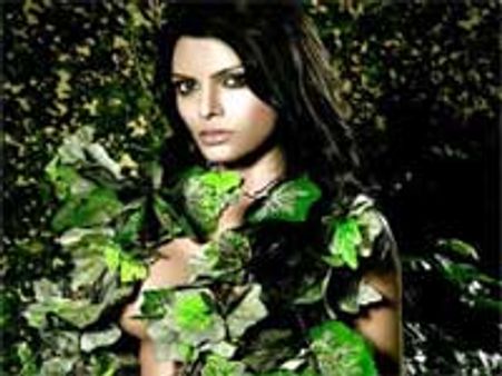 Sherlyn Chopra to flaunt her body on fitness DVD
