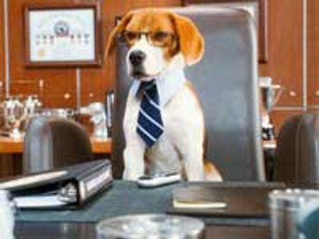 Cats & Dogs - Review