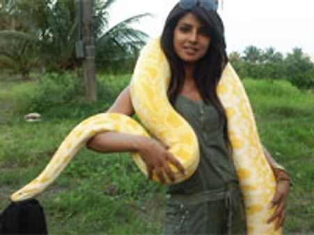 Priyanka beats Akshay as a host