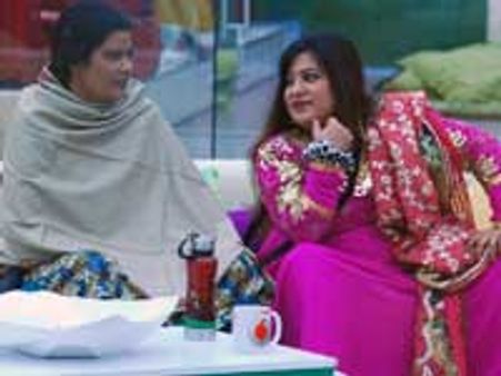 Dolly Bindra enters Bigg Boss 4!