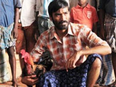 Aadukalam beats Siruthai, Kaavalan at box-office