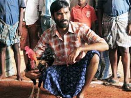 Aadukalam steals limelight, wins 5 National Awards