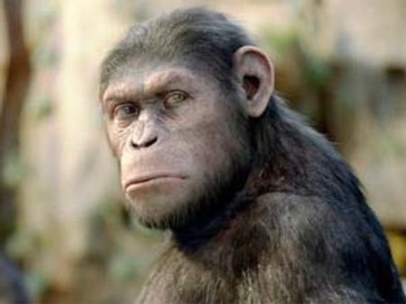 Rise of the Planet of the Apes scores $54 million at Box Office