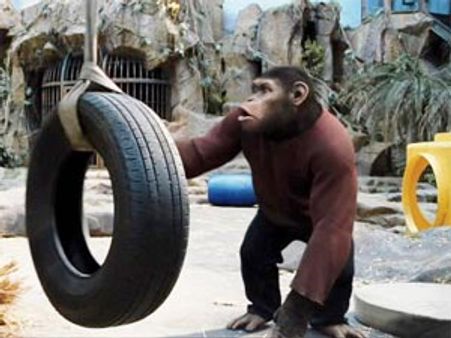 Rise of the Planet of the Apes continue to rule Box Office