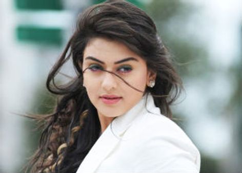 Hansika hasn't sealed the deal with The Businessman