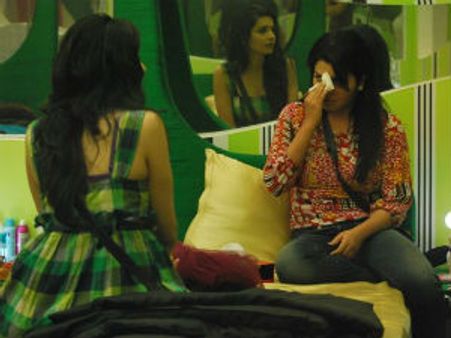 Bigg Boss 5: Mahek, Shraddha condemn Amar's double faced behaviour