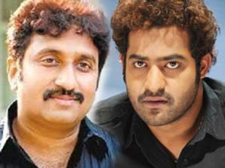 Junior NTR-Srinu Vytla ready for Action – With Entertainment