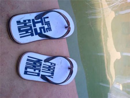 Shahid Kapoor's bikini birthday party in Goa