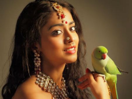 Shriya Saran reduces remuneration for Chandra!