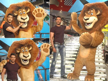 When Singham Ajay Devgn got a surprise visit from Alex the Lion!