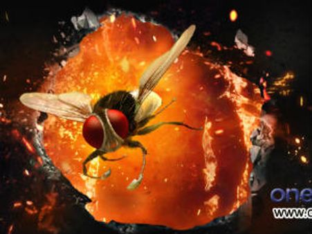 Eega, Naan Ee and Eecha are releasing on July 6th: Rajamouli