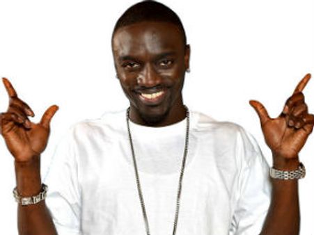 Akon roped in for NTR’s Sankranthi treat Baadshah?