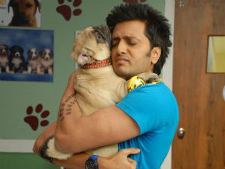 Riteish Deshmukh not worried about critics' reviews on KSKHH