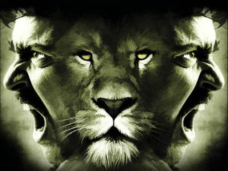 Singam 2 - Movie Review