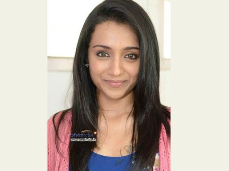 Trisha's Concern Over Stray Dogs