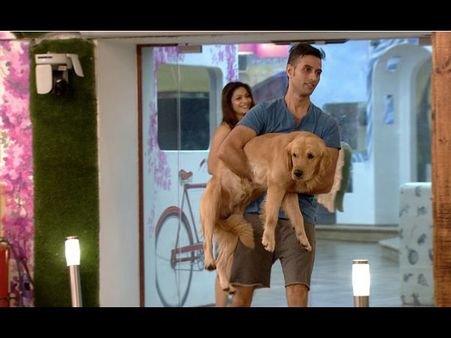 Bigg Boss 7: Apurva Agnihotri Gets Eliminated Today!