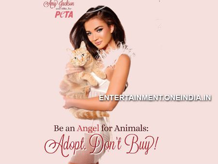 Yevadu Star Amy Jackson Turns Angel For Animals In New PETA Ad