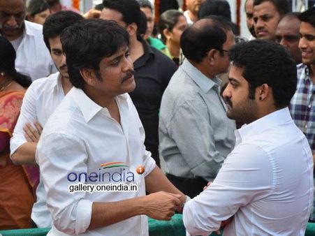 Nagarjuna-Junior NTR Teaming Up For Vamsi's Multi-Starrer Film