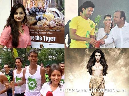 Bollywood Celebs Who Want All To 'Go Green'
