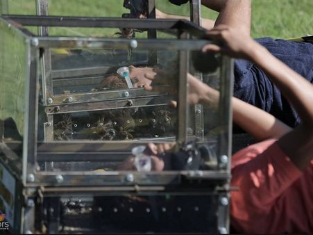 Khatron Ke Khiladi 5: Gauhar And Salman's Stunt With Scorpions On Their Face!