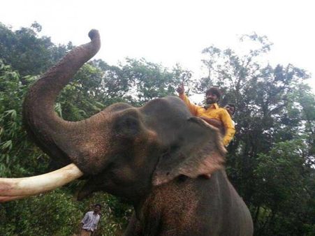 Gajakesari - Movie Preview