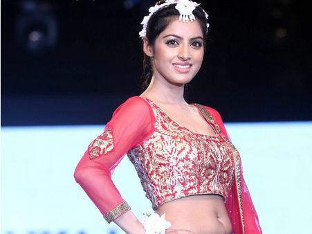 Diya Aur Baati Hum's Sandhya, Deepika Singh's Birthday; 10 Unknown Facts About Her