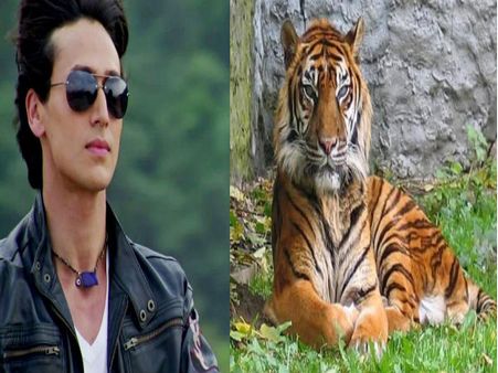 Tiger Shroff's Special Gift For His Tigress!