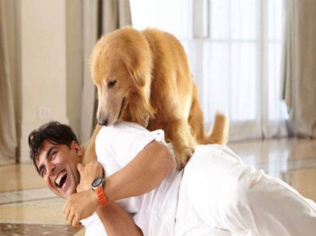 How Dogs Add Entertainment To Akshay Kumar's Life? (See Pics)
