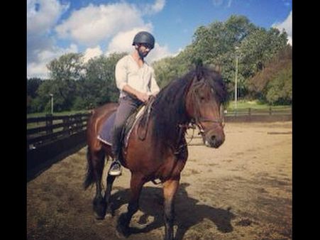 Haider To Shandaar: Shahid's Horse-Riding Continues