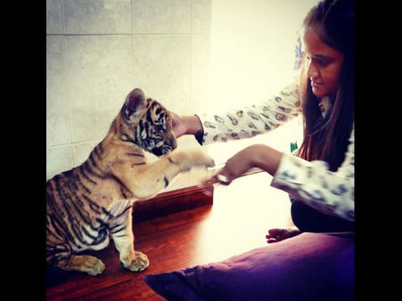 Wow! Salman Khan's Sister Arpita Khan Poses With Tiger Cub