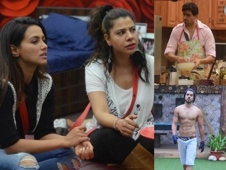Bigg Boss 8's Sana, Sambhavana Prefer Preetam For Long Run, Not Gautam!