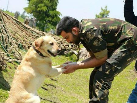 Picket 43: A Tribute To Friendship