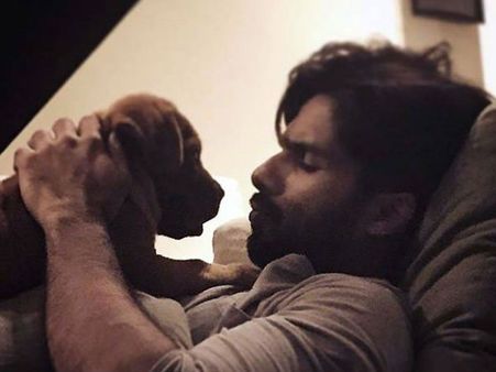 Shahid Kapoor's New Found Love!