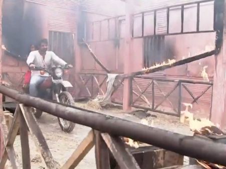 Kumkum Bhagya: Abhi And Pragya Escape Through Jungle