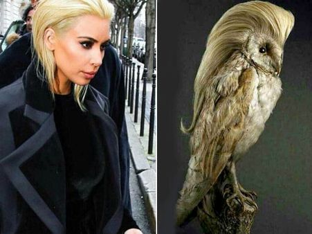 Funny Memes of Kim Kardashian's Platinum Blonde Hair