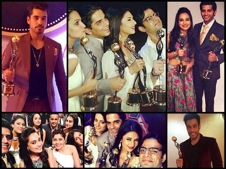 Gold Awards 2015 Winners List: Karan Patel, Divyanka, Karanvir, Surbhi, Gautam Gulati Win!