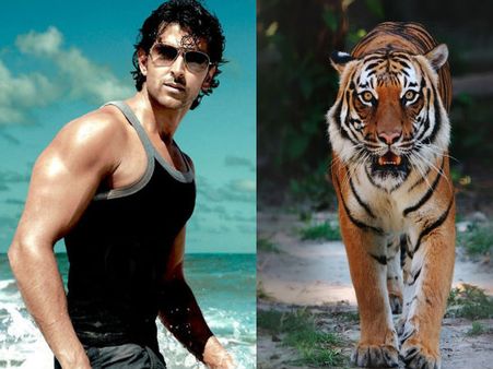 OMG! Hrithik Roshan To Fight With Tigers In Mohenjo Daro