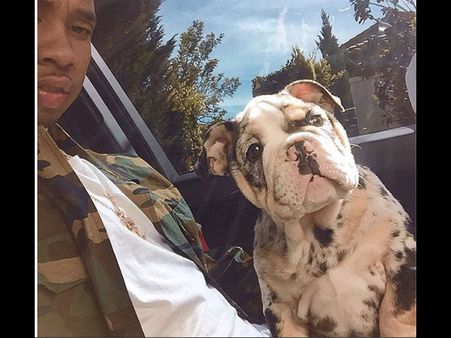 Say Hello To English Bulldog Pup 'Rolly': Kylie Jenner & Tyga's New Pet