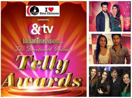 14th Indian Telly Awards Nomination Party: Swaragini’s Namish-Tejaswi, Karan-Ankita,...Attend - PICS