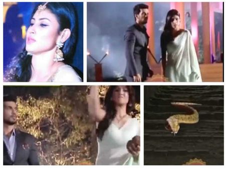 Naagin Spoiler: Sesha Brings Ritik To Temple To Save Shivanya; Python To Swallow Shivanya!