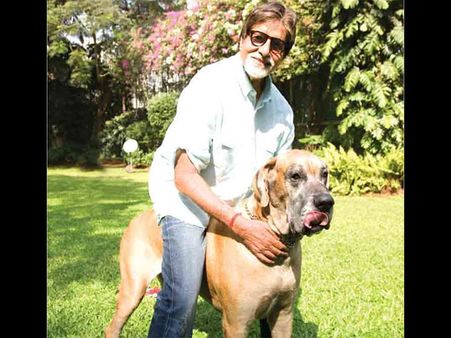 Uh Oh! Amitabh Bachchan Is Seriously Unwell!