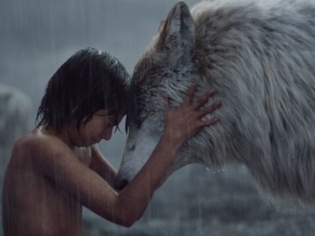 Unbelievable! Jungle Book Has The Highest Collection This Year!